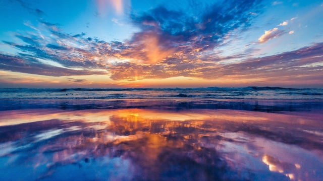 bat365集团：园林绿化绿篱植物