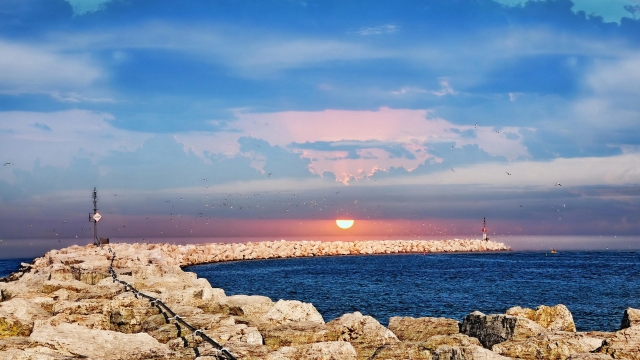 bat365：园林绿化质保期要多久