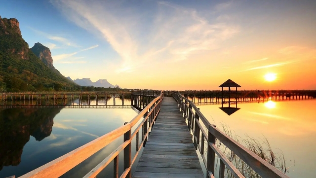 bat365集团：园林绿化苗木种植红刺花