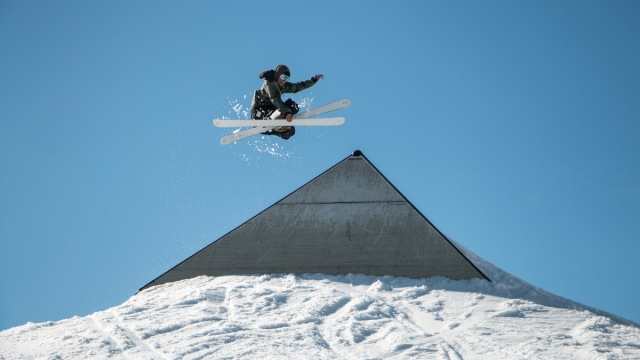 bat365公司：园林绿化有几种草种子名称