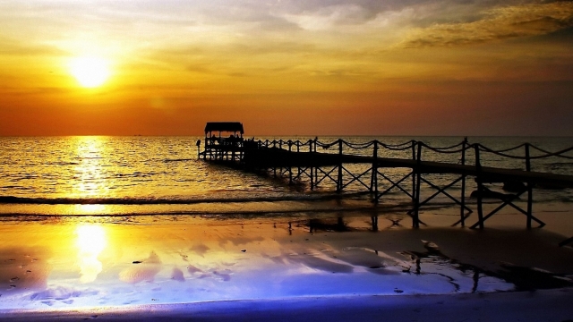 bat365：园林绿化用的灰色的土