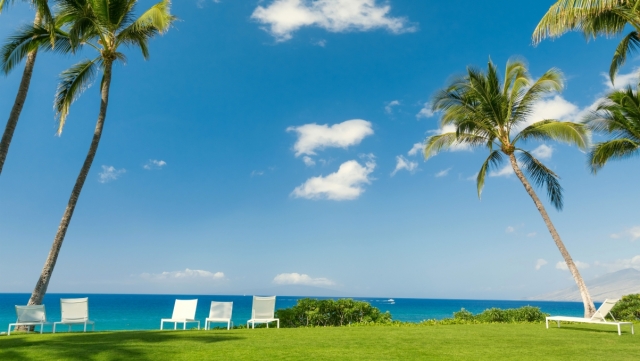 bat365：园林绿化成活养护期