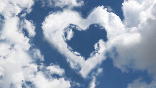 园林绿化都用什么肥料