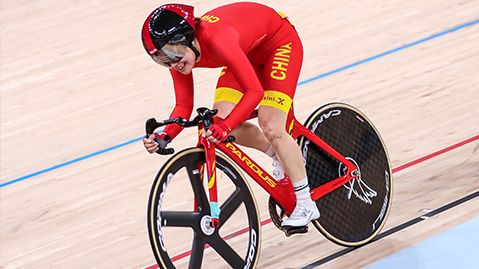 bat365集团：园林绿化彩色木屑