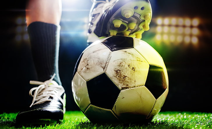 bat365中国：园林绿化的景观树