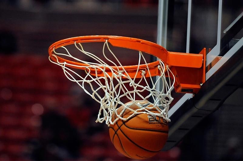 开荒绿化工程施工流程